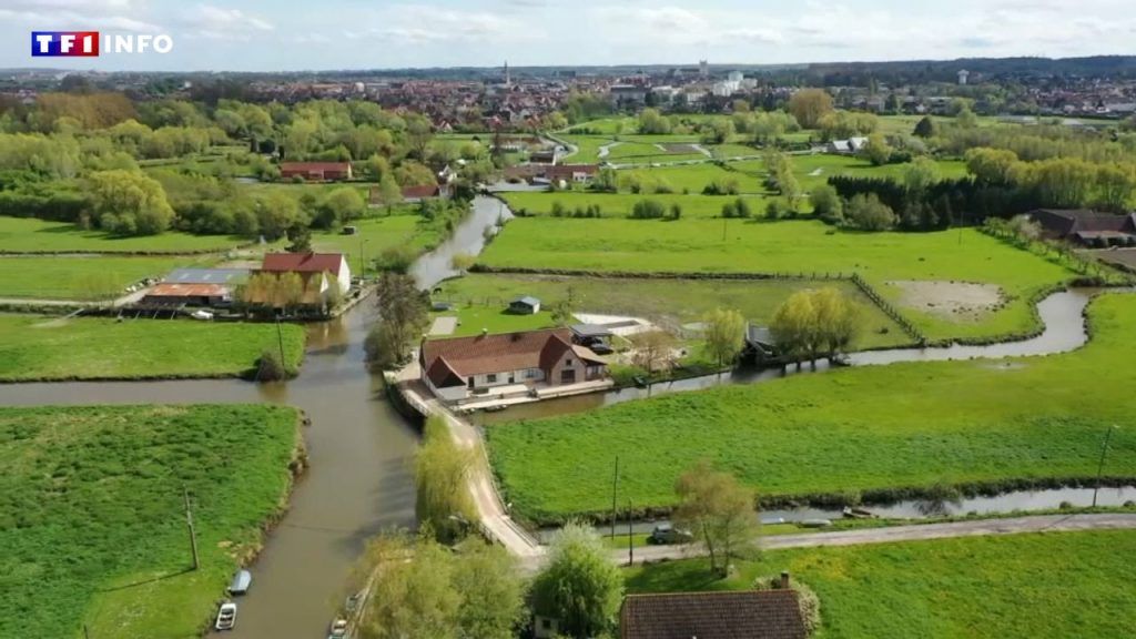 VIDEO – Pas-de-Calais: Entdecken Sie das Audomarois-Sumpfgebiet, ein ...