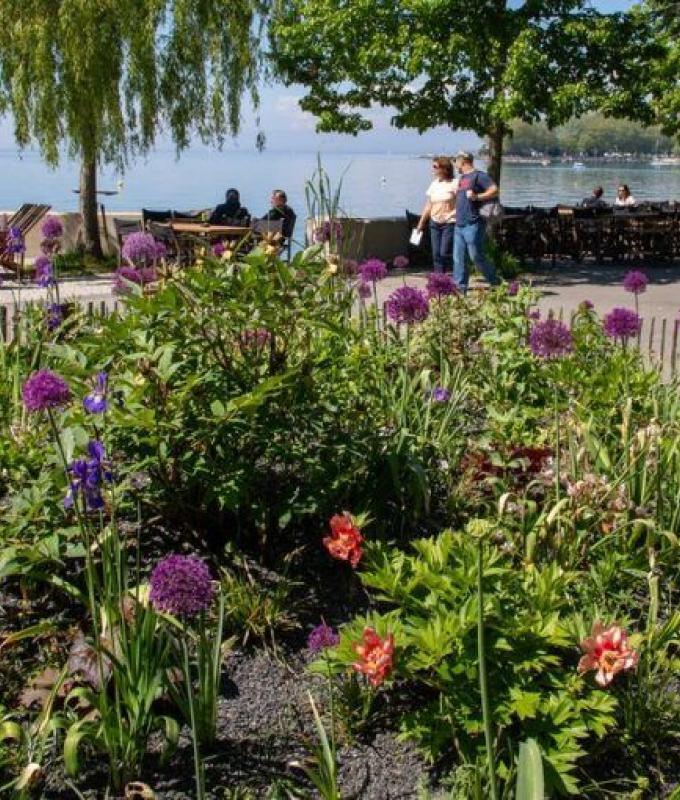 Lausanne: Umweltfreundliche Blumen sind in Ouchy nicht einig