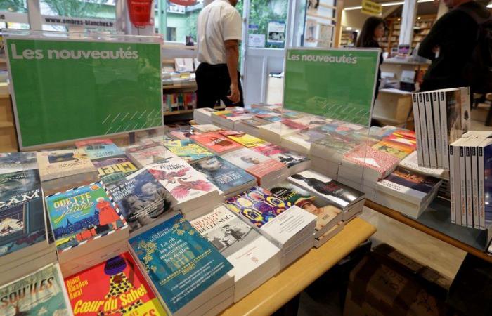 Buchmesse: Federn aus Toulouse stehen diesen Samstag im Stadtzentrum im Rampenlicht