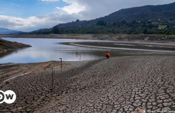 El Niño, ein Klimaphänomen, verwüstet Afrika – DW – 25.04.2024