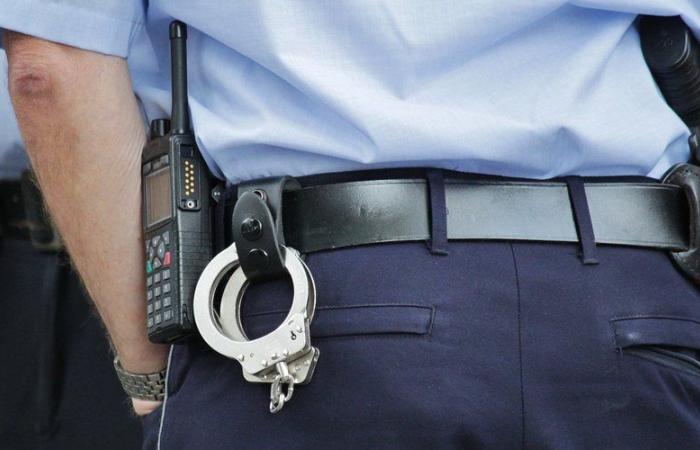 Sechs Millionen Euro unbezahlt: Ein Autofahrer wurde verhaftet, während er eine Rekordzahl an Geldstrafen kassierte
