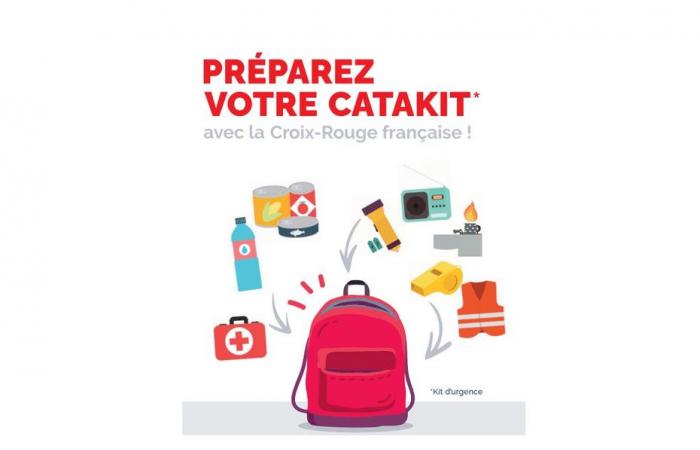 Das Rote Kreuz möchte bei klimatischen Ereignissen eine Notfalltasche pro Franzose