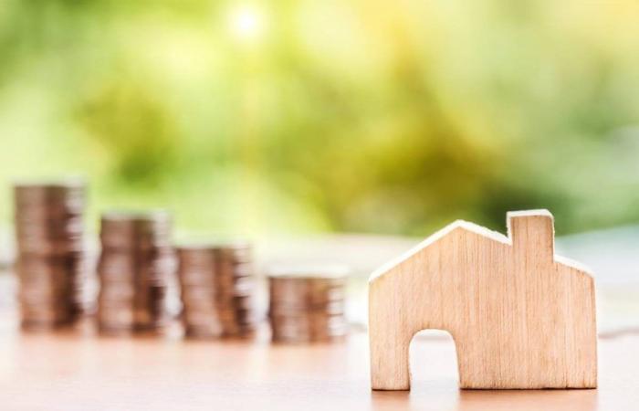 Immobilien: Auf dem Weg zu einem neuen schwindelerregenden Preisverfall im Jahr 2024