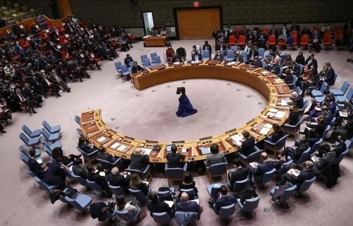 UN-Sicherheitsrat fordert schnelle Unterstützungskräfte zur Einstellung der Feindseligkeiten auf (Resolution)