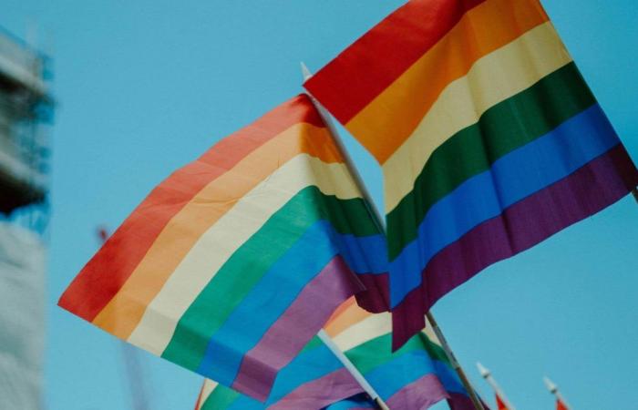 Die Zunahme von Hassreden hält französischsprachige Queers davon ab, „aus dem Schrank zu kommen“