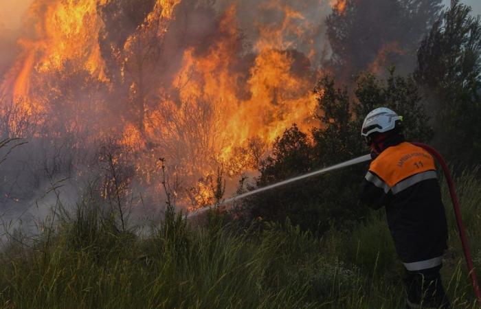 Waldbrände: Frühlingsregen verringern die Brandgefahr nicht, im Gegenteil…