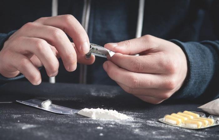 „Ein schwerer Schlag“: Ein riesiges Kokain-Importnetz in Europa wurde zerschlagen