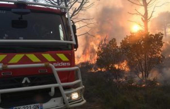 Waldbrände: Frühlingsregen verringern die Brandgefahr nicht, im Gegenteil…