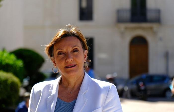 Parlamentswahlen im Gard: Die Nationale Rallye stellt ihre Kandidaten und Ziele für den Grand Slam vor – Nachrichten