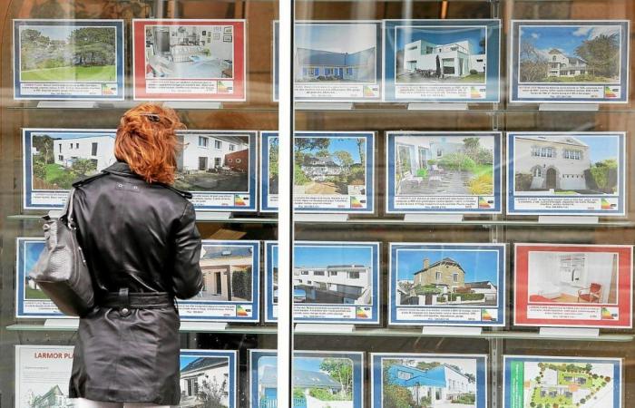Die Insolvenzen von Immobilienagenturen explodieren