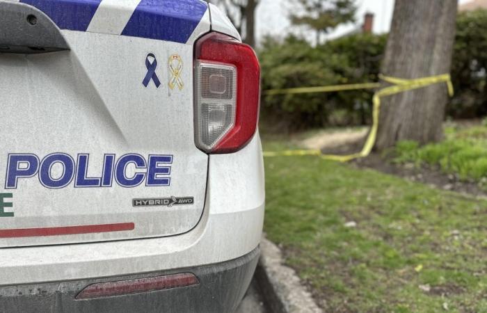 Mann aus Ottawa wegen Mordes an der Woodroffe Avenue angeklagt