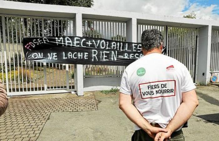 LIVE – Landwirtschaftliche Demonstration in Guingamp: Der Kernilien-Kreisverkehr wird bald freigegeben [Vidéo]