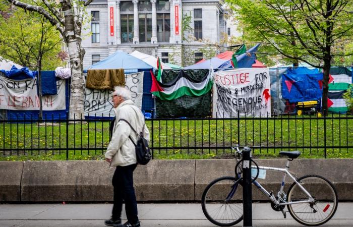 McGill pro-palästinensisches Lager | „Revolutionäres Sommerprogramm“ macht McGill Sorgen