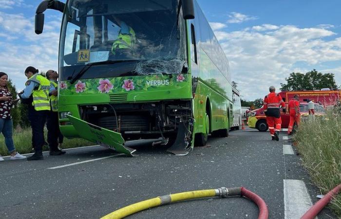Zusammenstoß zwischen einem Schulbus und einem Auto in Gers: 4 Opfer von der Feuerwehr behandelt, keine Kinder verletzt