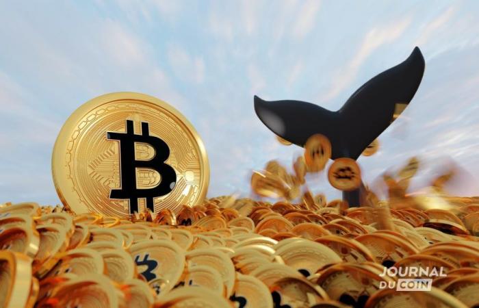 Wale nutzen jeden Rückgang, um Bitcoin und Ethereum aufzuladen