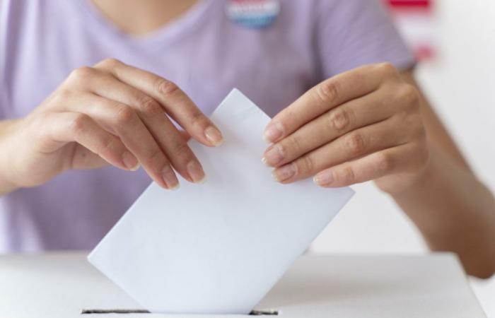 Parlamentswahlen 2024: Wer werden die Kandidaten für den 4. Wahlkreis Gard sein?