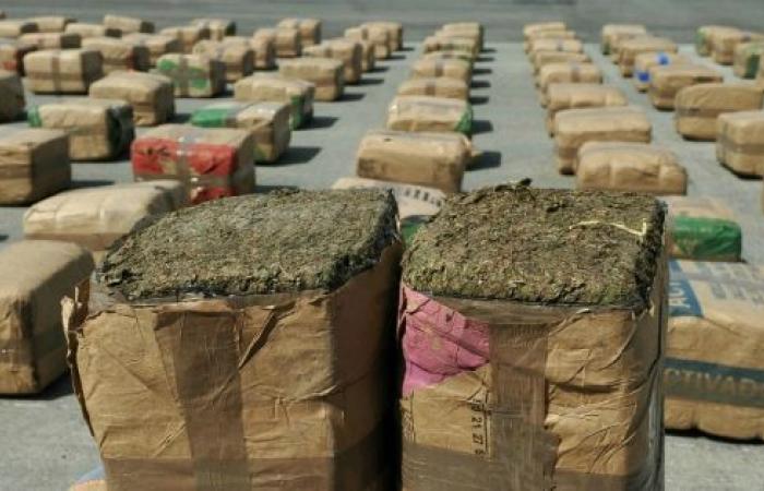 Zoll: 21 Tonnen Cannabisharz im Jahr 2023 beschlagnahmt