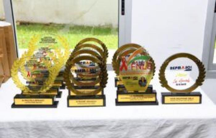 Elfenbeinküste-AIP/Der Superpreis im Medienproduktionswettbewerb zum Thema HIV bei Kindern, der von einem Journalisten des nationalen katholischen Radios AIP gewonnen wurde