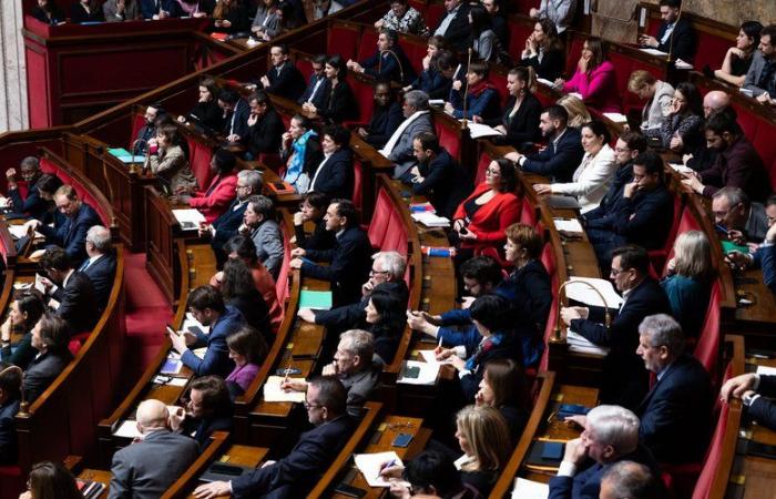 VIDEO. Legislative 2024, die Fragen, die sich stellen: Was wird aus den Gesetzestexten?