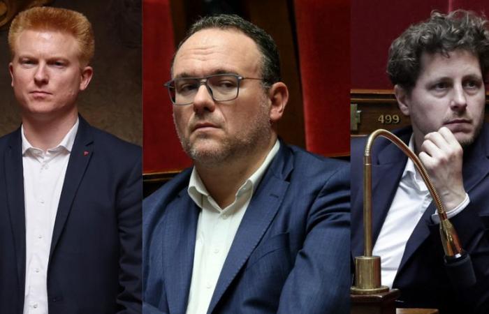 Parlamentswahlen 2024: Adrien Quatennens, Damien Abad, Julien Bayou … diese Kandidaturen, die einen zum Schaudern bringen
