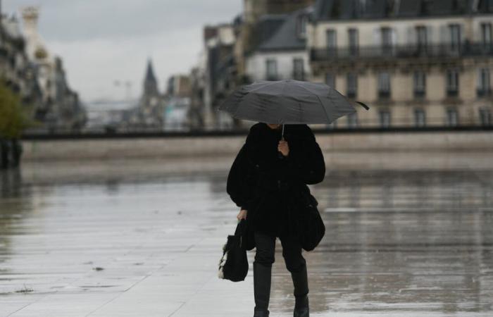 Das Wetter spielt auf der Île-de-France mit unseren Nerven: Plötzlicher Temperaturabfall, gefolgt von einem spektakulären Anstieg