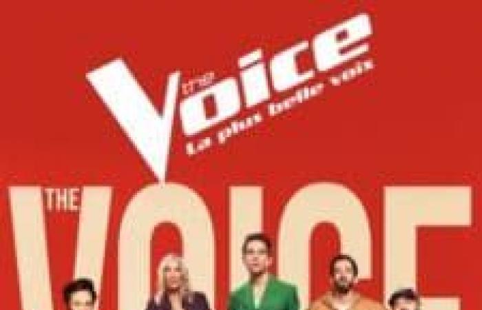 „The Voice“ fertig? TF1 trifft eine große Entscheidung