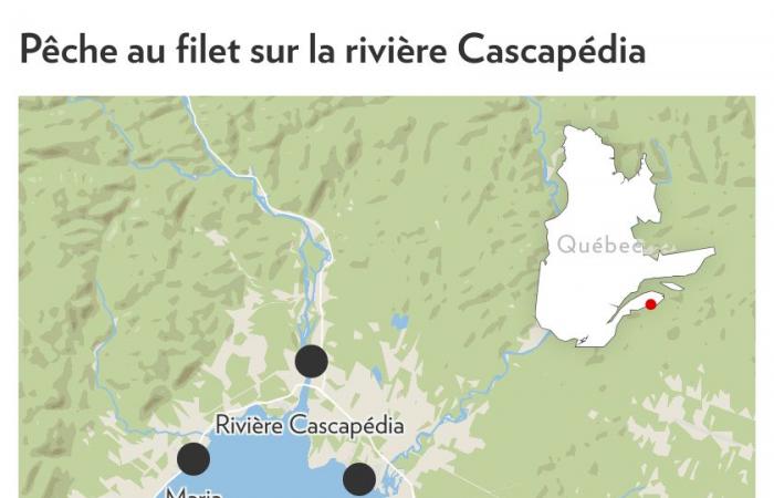 Lachsfischen in Gaspésie | Nets wollen Quebec unter Druck setzen