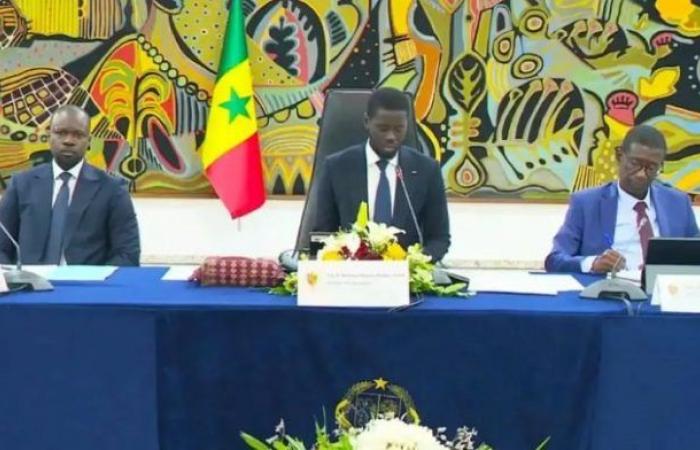 Senegal: Die Regierung kündigt Preissenkungen für Lebensmittel an