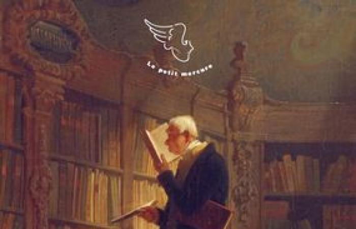 Eine Vorliebe für Bibliotheken – Laurence Bavia