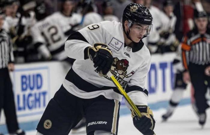 Die 15 besten Quebecer für den nächsten NHL-Draft