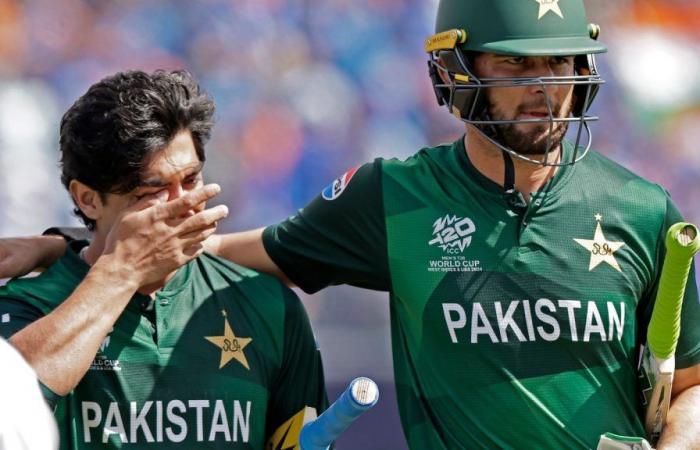Höhepunkte Pakistan vs. Irland, T20 World Cup 2024: PAK schlägt IRE in Florida um 3 Wickets | Cricket-Nachrichten