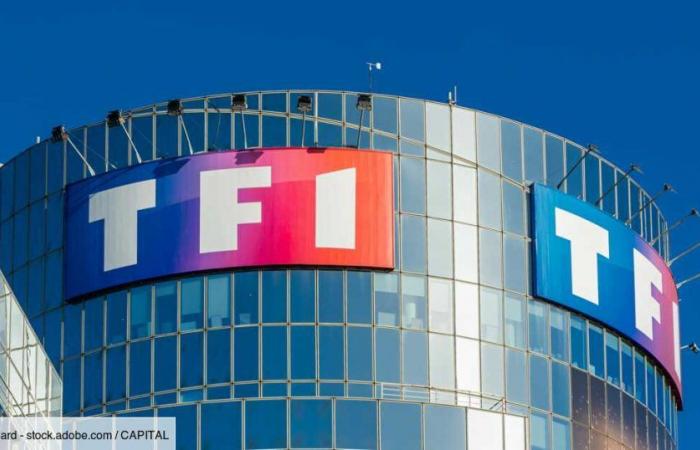 TF1 und M6: Auf dem Weg zum Zusammenbruch des Aktienmarktes, wenn die RN France Télévisions privatisiert?