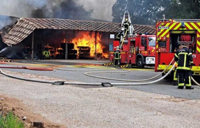 Casteljaloux. Brand in einer Lagerhalle einer Transportfabrik