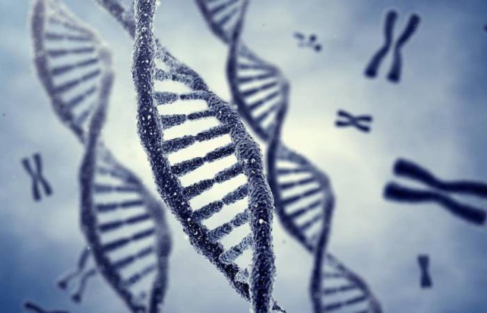 DNA-Test bringt drei Geschwister nach 70 wieder zusammen
