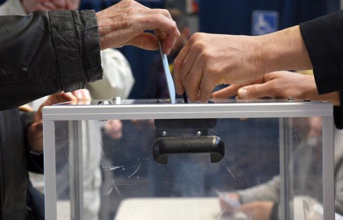 Parlamentswahlen 2024 in Tarn: neunzehn Kandidaten für drei Sitze