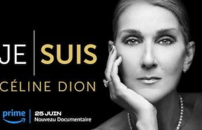 Dokumentarfilm „Ich bin: Céline Dion“: „Das Hindernis war nicht die Krankheit, sondern die Lüge“, sagt der Regisseur
