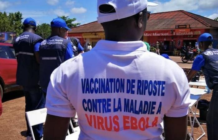 Bald gibt es einen vorbeugenden Impfstoff gegen das Ebola-Virus für Gesundheitspersonal in Afrika