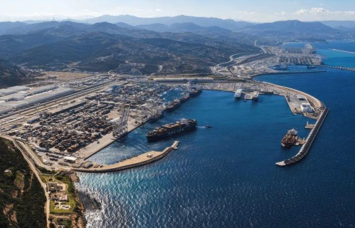 Seeverkehr: die unverschämte gute Gesundheit des Hafens von Tanger Med