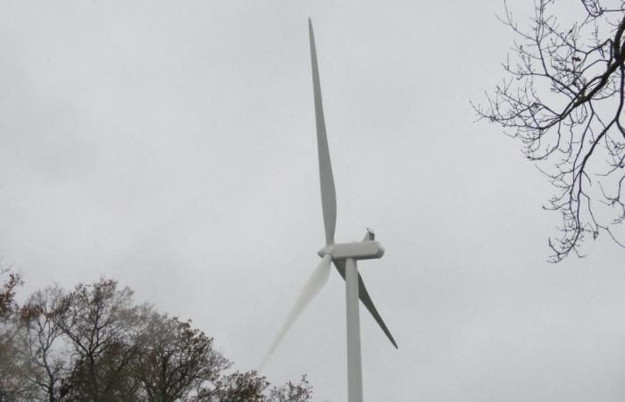 Windkraftprojekt in Ille-et-Vilaine: Was sagt der ermittelnde Kommissar?