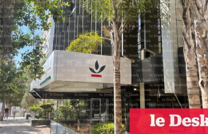 Crédit Agricole du Maroc: Seminar zur Regulierung von Aktivitäten im Zusammenhang mit der legalen Verwendung von Cannabis