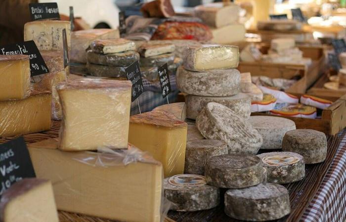 Rückruf von mit Listerien kontaminiertem Schafskäse aus den betroffenen Supermärkten im Var und in den Alpes-Maritimes