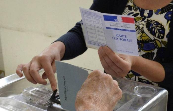 Parlamentswahlen 2024. Hier sind die 47 Kandidaten, die in den acht Wahlkreisen von Ille-et-Vilaine bekannt gegeben wurden