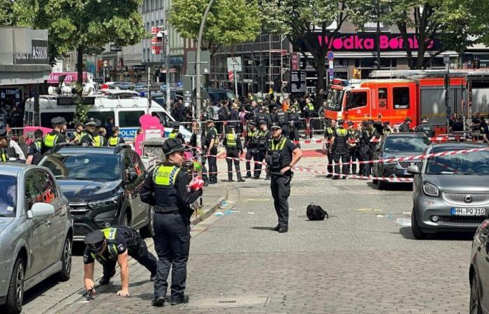Nahe EM-Fanfest in Hamburg: Polizei schießt auf bewaffneten Mann