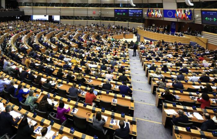 Im Europäischen Parlament ist die Jagd nach Europaabgeordneten eröffnet
