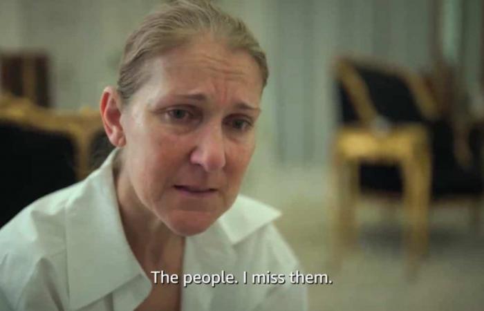 Dokumentarfilm „Ich bin: Céline Dion“: „Das Hindernis war nicht die Krankheit, sondern die Lüge“, sagt der Regisseur