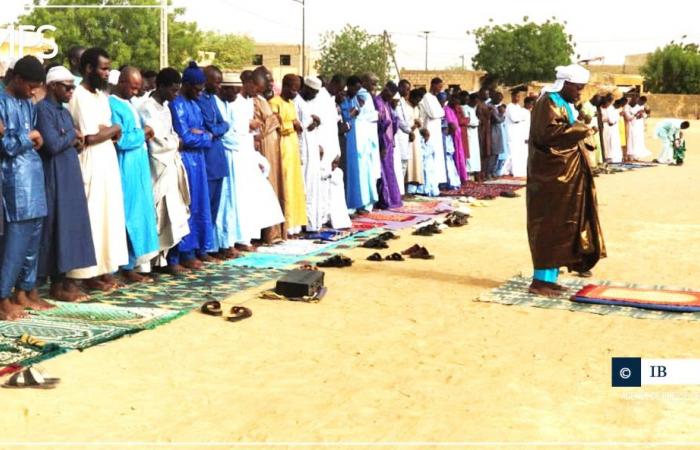 SENEGAL-TABASKI-GEDENKEN / In Podor beten Gläubige für Frieden und nationale Harmonie – senegalesische Presseagentur