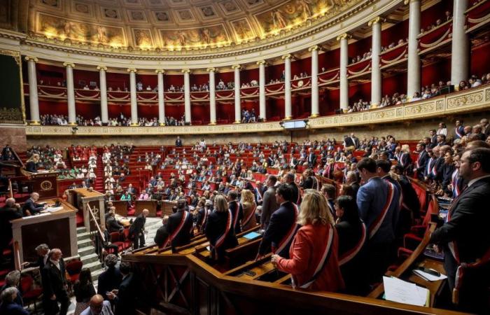Parlamentswahlen 2024: Entdecken Sie alle Kandidaten in den Wahlkreisen der Ardèche