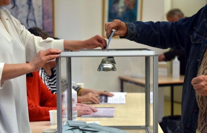 Parlamentswahlen 2024 in Ariège: Kandidaten, Aufrufe zur Wahl, zweiter Wahlgang … 4 Fragen, um alles über die Wahlen in Ariège zu erfahren