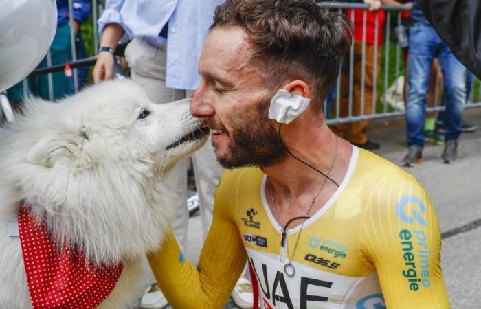 Adam Yates gewinnt als Meister die Tour de Suisse