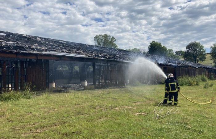 Feuer: Zwanzig Feuerwehrleute im Einsatz bei einem Brand in einem landwirtschaftlichen Gebäude von 2.500 m2, das in Laguiole vollständig durch Flammen zerstört wurde